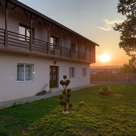 Pensiunea Alin Hotel Sisesti  Kültér fotó