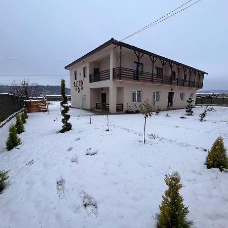 Pensiunea Alin Hotel Sisesti  Kültér fotó