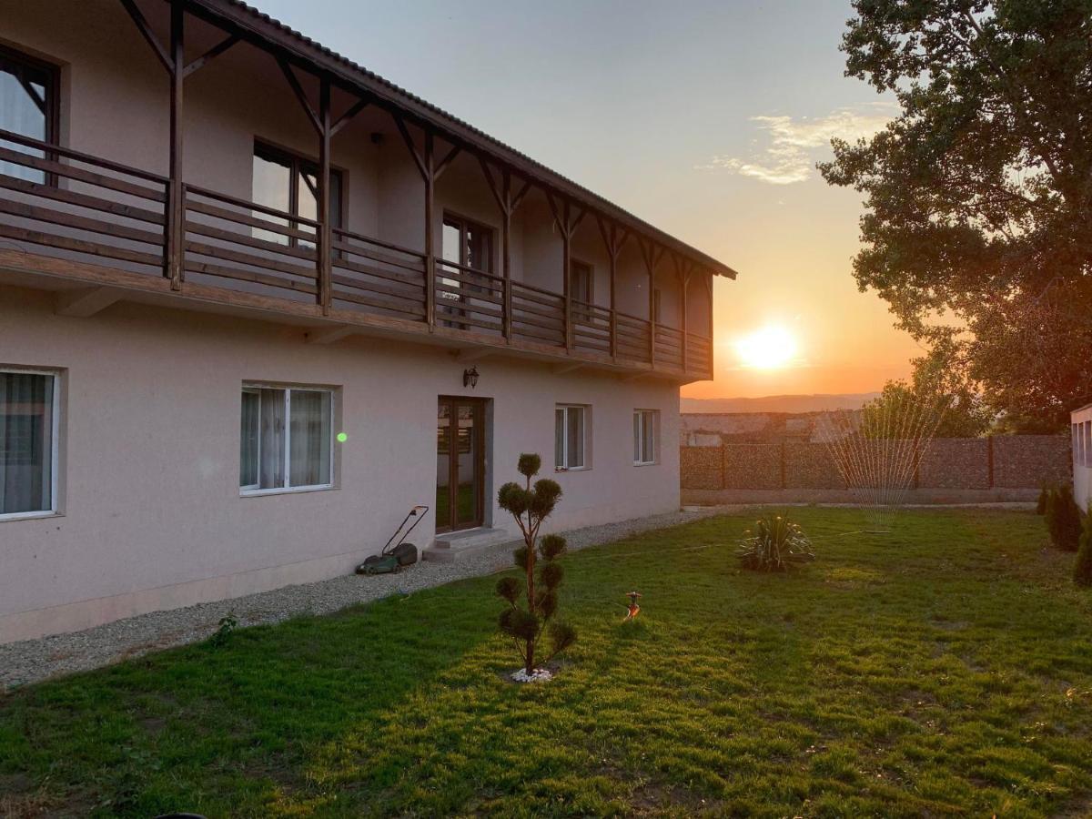 Pensiunea Alin Hotel Sisesti  Kültér fotó