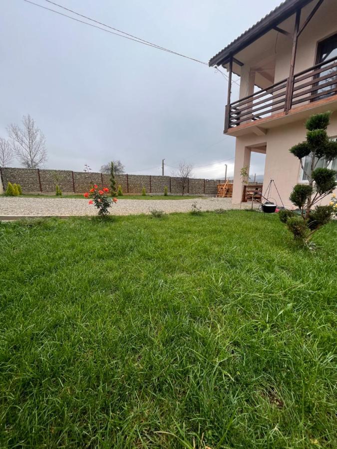 Pensiunea Alin Hotel Sisesti  Kültér fotó